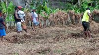 Berkebun Untuk Mengantisipasi Krisis Pangan