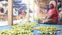 Biarkan Pinang Dijual Oleh Tuan Sendiri