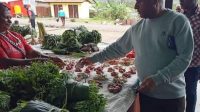 Produksi Komoditi Unggul Daerah Mendorong Capaian Visi Sehat Cerdas