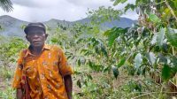 Dulu Guru SD Sekarang Petani Kopi