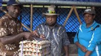 Wujudkan Mandiri Ekonomi, Dinas Peternakan dan Perkebunan 5 Bulan Menghasilkan 400 Rak Telur Ayam