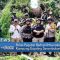 Polres Pegubin Berhasil Musnakan 300 Pohon Ganja Di Kampung Esipding Serambakon 