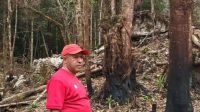 Tegas Bupati Spei;Kawasan Hutan Lindung Perlu Ada perhatian Masyarakat dan Pihaknya